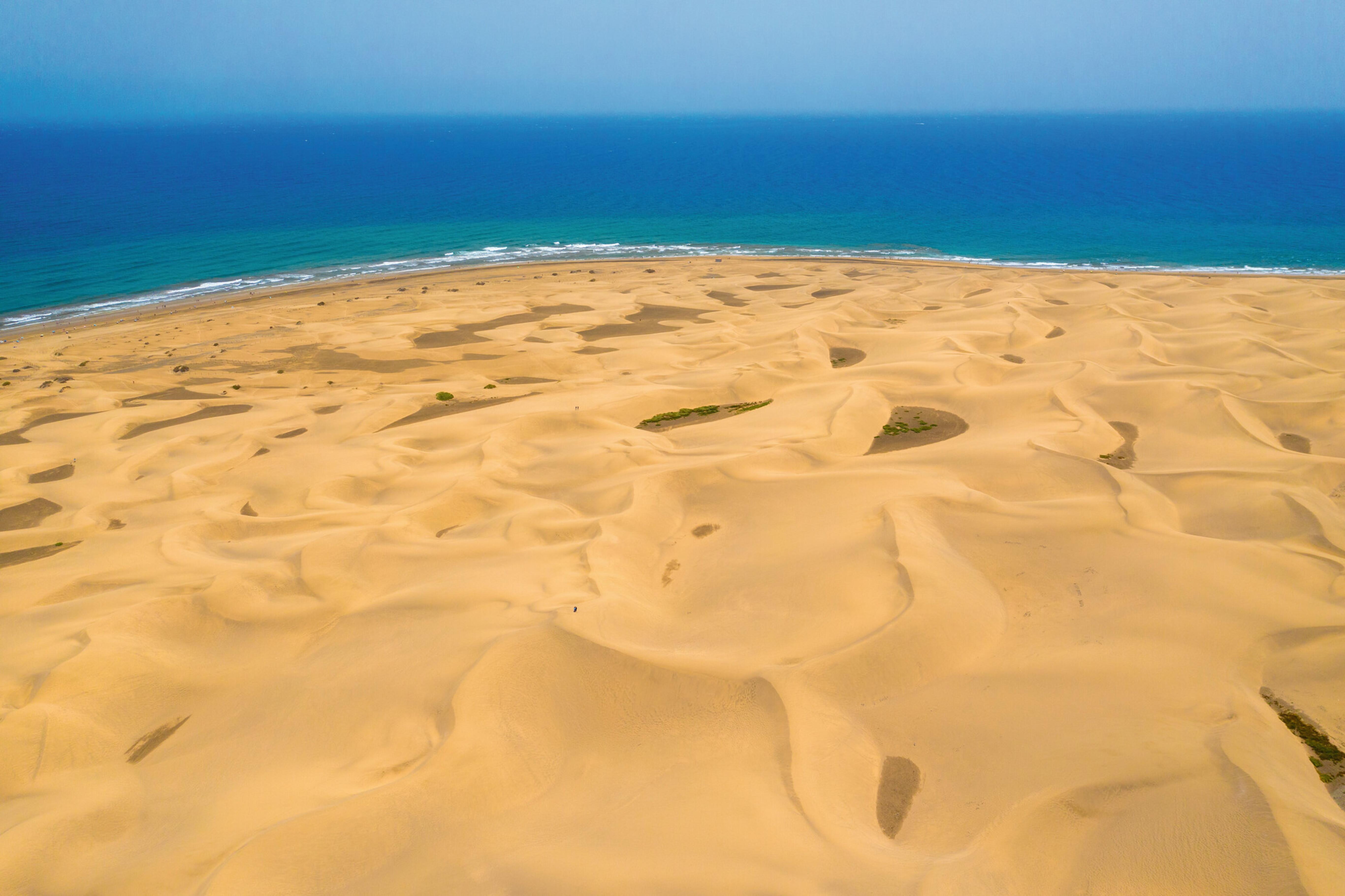 Riu Palace Maspalomas (Adults Only) 외부 사진